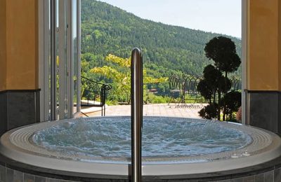 Whirlpool mit Ausblick auf den Bayerischen Wald im Burghotel Sterr